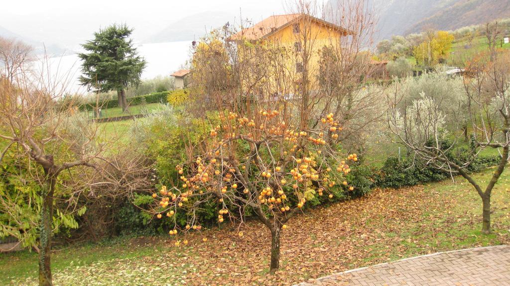 B&B Garden Solto Collina Exterior foto